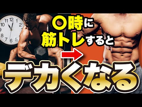 【筋トレ】最も筋肥大に効果的な時間帯は？