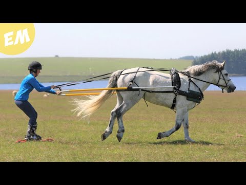 Moorland Equestrian Grass Skiing | Vlog