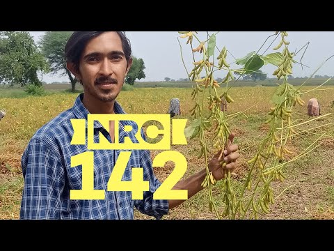 NRC 142 soyabean veraity Mo.9131600079