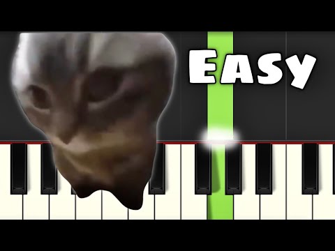 Chipi Chipi Chapa Chapa (Cat Meme) | Easy Piano Tutorial