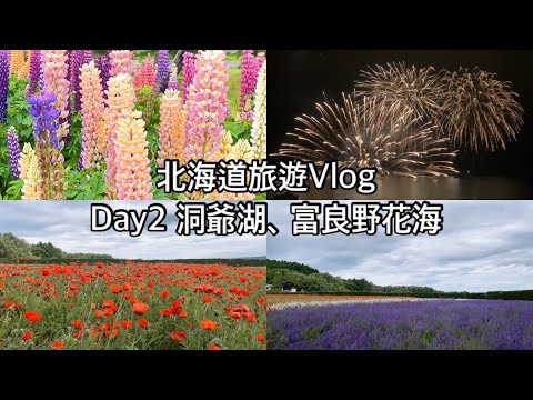 Vlog🇯🇵北海道五天四夜旅遊第二集、洞爺湖住宿、洞爺湖煙火表演、富良野花海、吃哈密瓜、熊牧場、北海道夏天旅遊2023