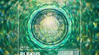 Artisan - Plexus