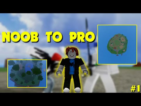 Noob to Pro Episode 1 "Getting Started" | Blox Fruits