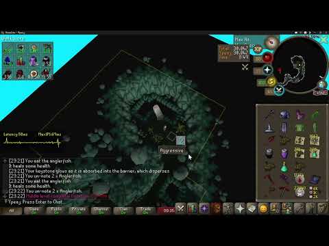 [OSRS Leagues 5] CoX CM Solo - 17:34