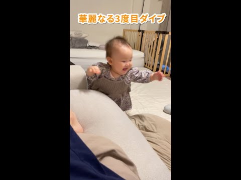 ベビークッションダイブ#shorts  #赤ちゃん  #baby