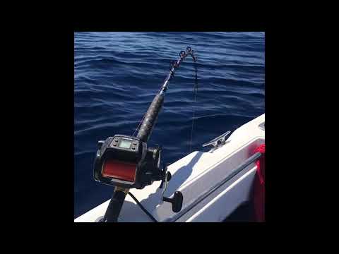 Big Blue Eye Trevella - Offshore Rockingham