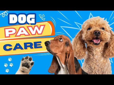 Dog Paw Pad Care