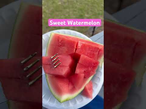 Enjoying watermelon on the porch. Watermelon Time! County Living