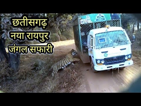 जंगल सफारी नया रायपुर | Jungle Safari Naya Raipur | Naya Raipur City | Chhattisgarh | Vlogs Rahul