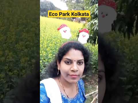 Must visit place in Kolkata EcoPark.#ecoparkkolkata #kolkata #mustvisitplace #kolkatatourism