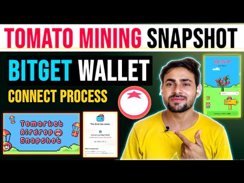 Tomarket ($TOMATO) Mining Snapshot || Tomato Airdrop Bitget Wallet Connect Process || Tomarket App