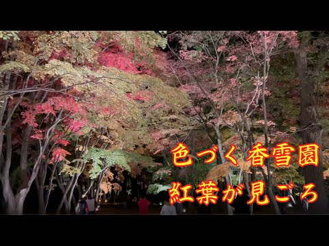 【地域の話題】香雪園の紅葉が見ごろ