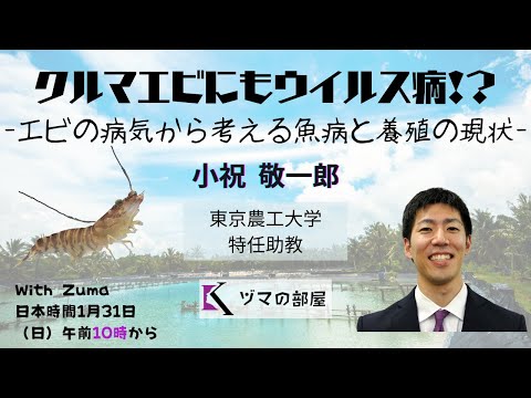 【東京農工大学　 小祝敬一郎】クルマエビにもウイルス病！？ -エビの病気から考える魚病と養殖の現状-「ヅマの部屋」#11