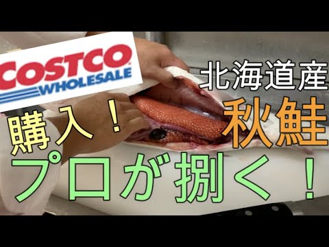 【料理動画】【コストコ】秋鮭プロが捌く！