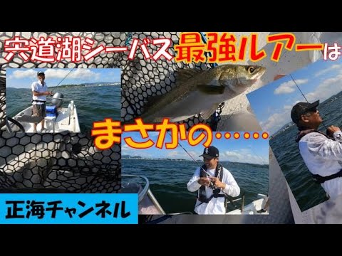 宍道湖シーバス　最強ルアーはまさかの……