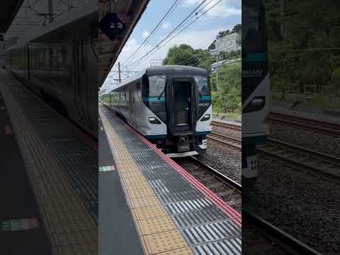 東海道線　大磯駅　特急踊り子通過　#東海道線 #大磯駅 #踊り子号