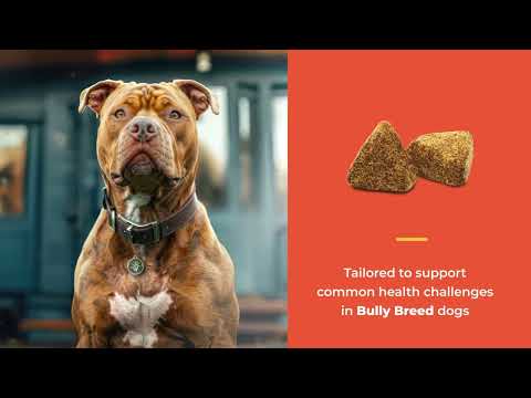 NaturVet Breed Specific Bully Breed Dogs