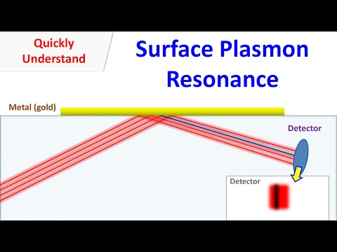 Surface Plasmon Resonance