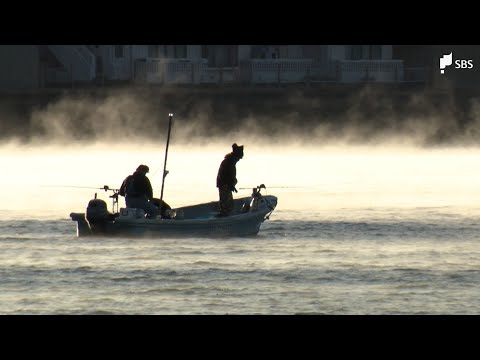 県内各地で今冬1番の寒さ 氷や霜が寒さ物語る 「気嵐」に包まれた幻想的な光景も＝静岡