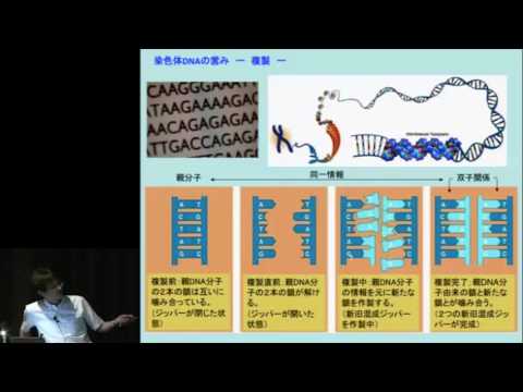 京都大学シンポジウムシリーズ「大震災後を考える」シリーズⅧ「原発事故の教訓とこれからのエネルギーシナリオを考える」「放射線の人体影響と防護：チェルノブイリの教訓をフクシマへ」松本 智裕　2011年7月