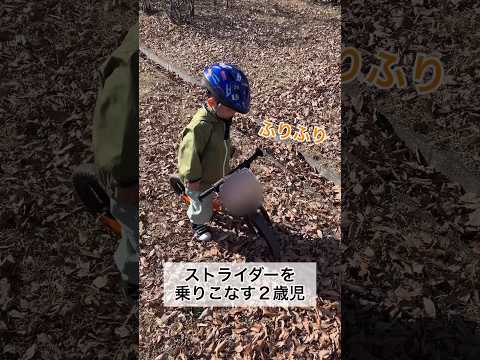 ストライダーを乗りこなす2歳10ヶ月 #shorts #2歳児