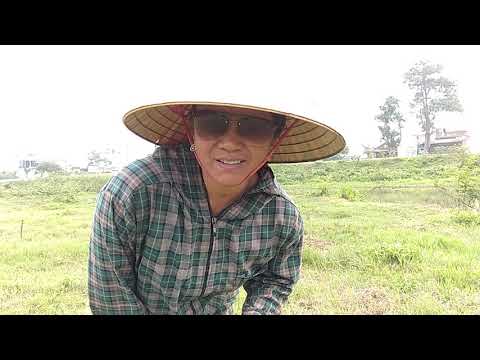 Hướng dẫn Cuốc đất ở đồng1.mp4