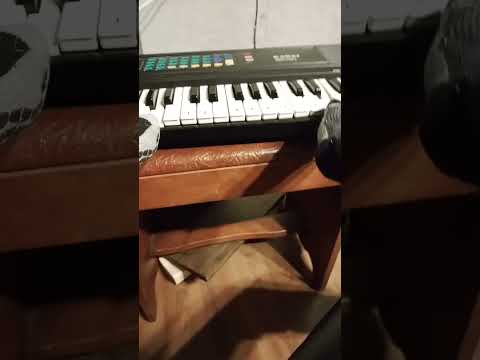 trying to play interstellar on piano with my feet. #fun #viral #piano #funny