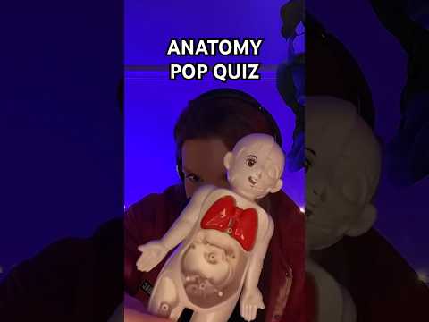 ASMR Human Anatomy Pop Quiz #asmrvideos