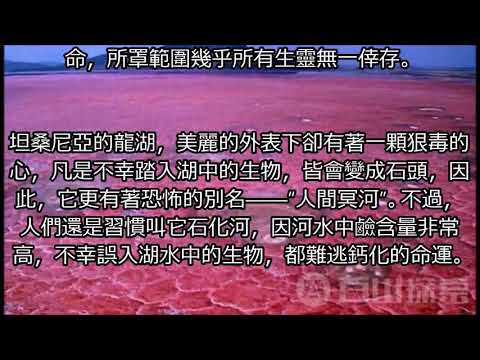 世界上最奇葩的7個湖泊?! 第一個可怕!!! 第五個怪異! 世界最奇怪七大湖泊!