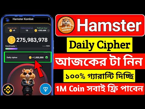 hamster kombat daily chiper । daily cipher in hamster । daily cipher hamster kombat । hamster kombat