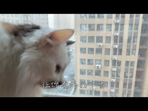 小朋友都喜欢下雪吧