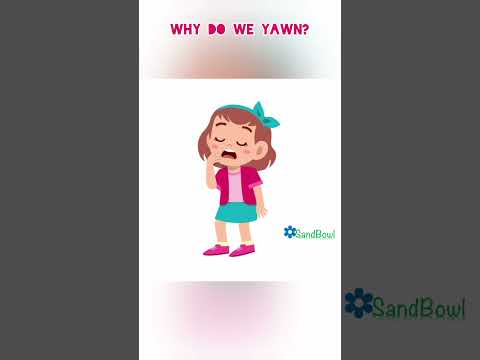 Why do we yawn? 🥱 🥱🥱 நாம் ஏன் கொட்டாவி விடறோம் தெரியுமா?