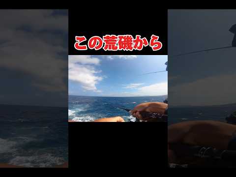 荒磯の釣りはこれが楽しい#釣り#沖縄#fishing