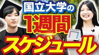 【現役国立大生に聞く】教育学部の1週間スケジュールを公開【ルーティン】