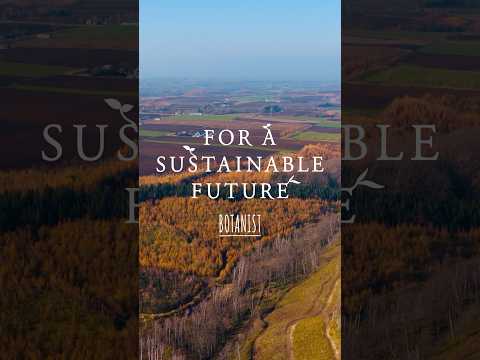 BOTANISTの森 - 秋 -【FOR A SUSTAINABLE FUTURE】