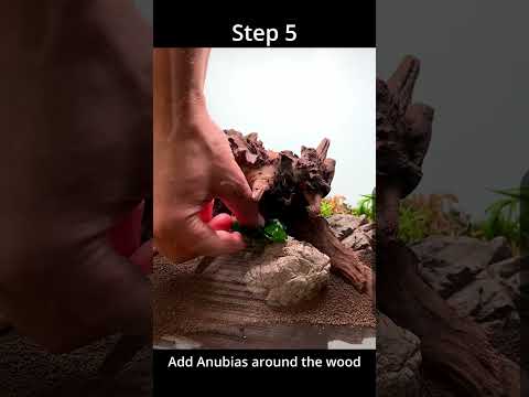 STEP BY STEP AQUASCAPE FOR A BETTA!