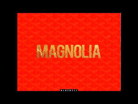 Spanish Dre x DirtyBwoi - MAGNOLIA (Prod.by zmokealot) SPANISH REMIX