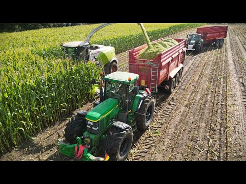 Maisernte 2024! JohnDeere 7810 & Fendt Traktoren! Häckseln extrem, unter  nassen Bedingungen! 1/2