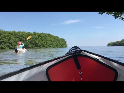 Oru Kayaks on the Bay - St. Petersburg