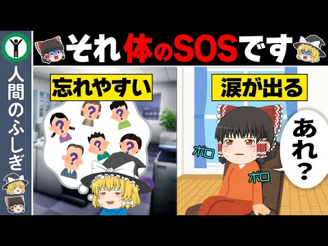 【見逃さないで】体からのSOSのサイン9選【ゆっくり解説】