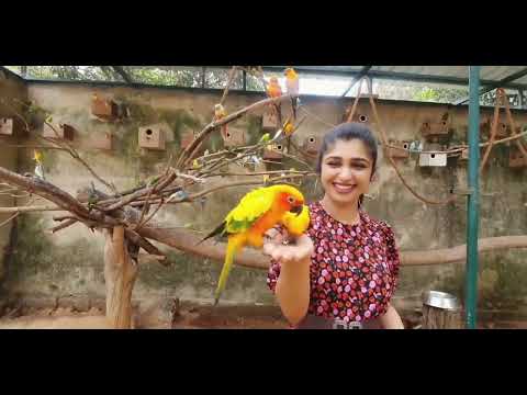 Aditi Prabhudeva ❤️ | New Animal Vlog 🐨 |