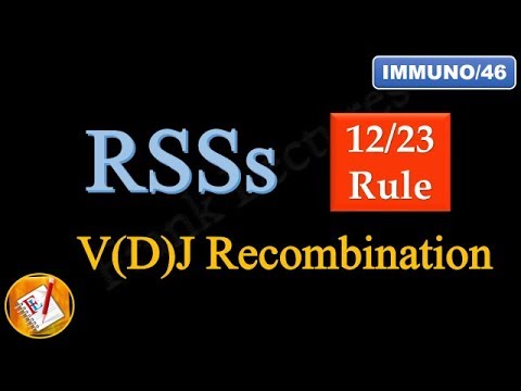 Recombination Signal Sequences (RSSs) and 12/23 Rule (FL-Immuno/46)