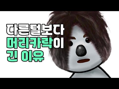 ep.7 머리카락은 왜 다른 털보다 길까? | 고알라