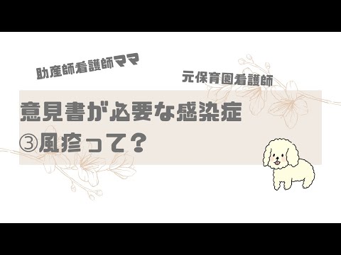 【保育園看護師】意見書が必要な感染症③風疹(三日ばしか)とは？