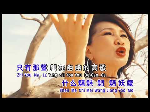 沙漠骆驼（MV）陈丽媚