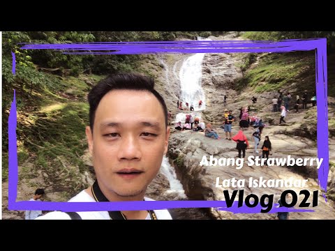 Abang strawberry 和 Lata Iskandar瀑布 【vlog 021】