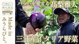 【地元良品】バッハを愛する髙梨雅人さんが作る三浦半島産イタリア野菜▼東京・神楽坂シェフが足を運んで買う三浦野菜の魅力とは？〜Made in みうらびと