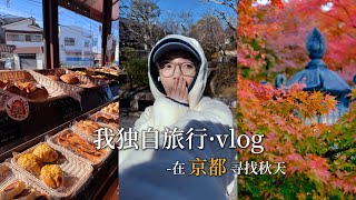 京都VLOG｜去宇治 看夜枫 东福寺的通天桥 清水寺的傍晚 还有哲学之路的小鸭子｜27岁 正是喜欢和阳光玩耍的年纪...