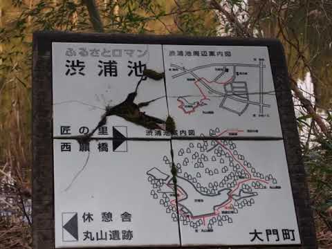 小杉丸山遺跡