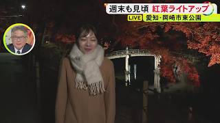 モミジと恐竜の競演も…徳川家康生誕の地・愛知県岡崎市の東公園で紅葉やっと見頃に ライトアップはあと4日間